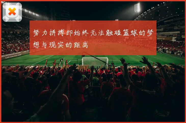 努力拼搏却始终无法触碰篮球的梦想与现实的距离